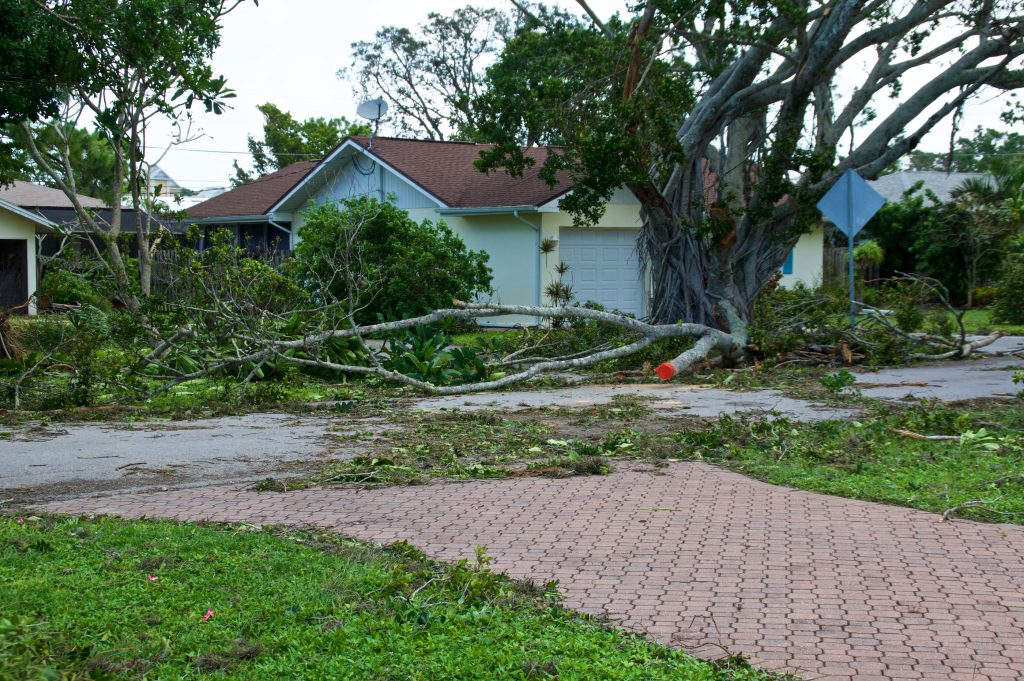 hurricane damage policy denied claim lawsuit attorney florida