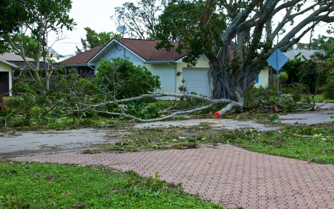 Why was my Hurricane Damage Claim Denied?
